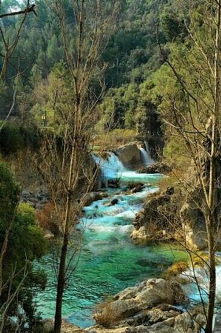 Lugar Río Borosa