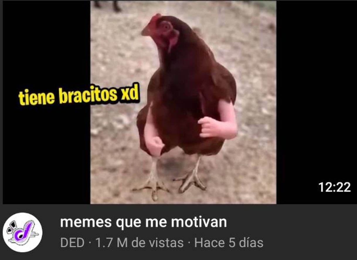 Social Ded- YouTube
