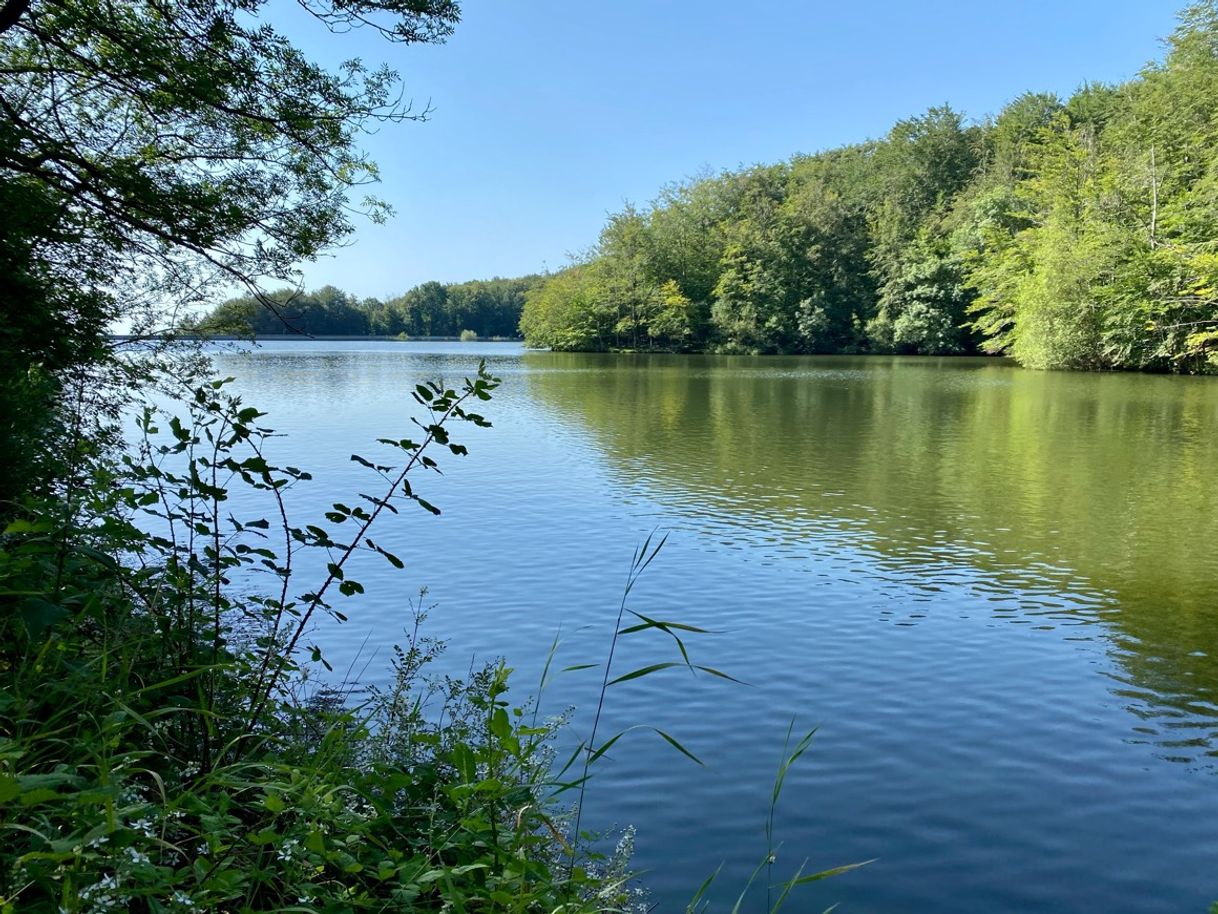 Lugar Pantano de Santa Fe del Montseny