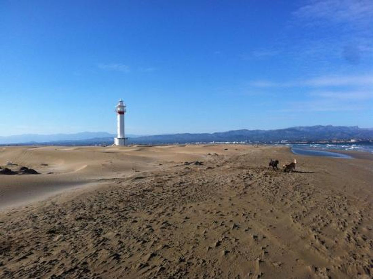 Place Punta del Fangar