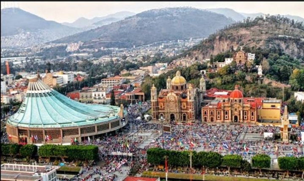 Lugar Basílica de Guadalupe