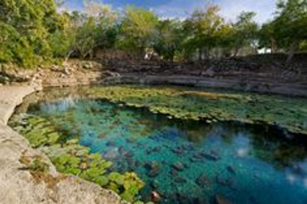 Place Cenote Xlacah