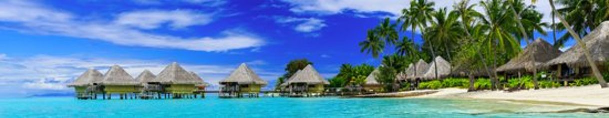 Fashion Bora Bora 2020: Best of Bora Bora Tourism - Tripadvisor