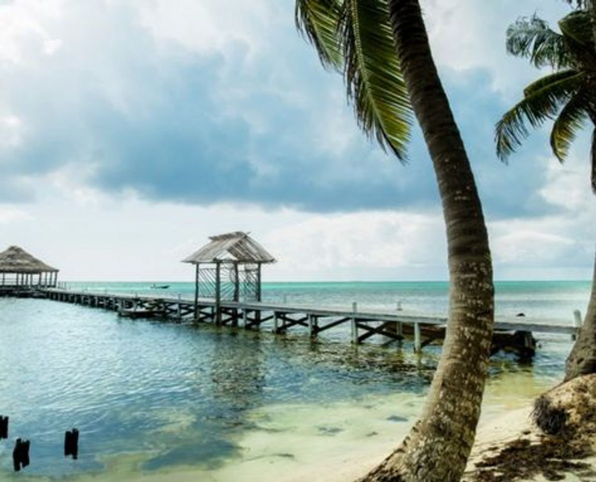 Place Ambergris Caye