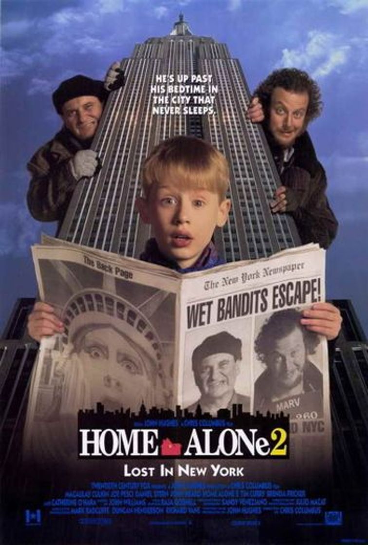 Movie Solo en casa 2: Perdido en Nueva York