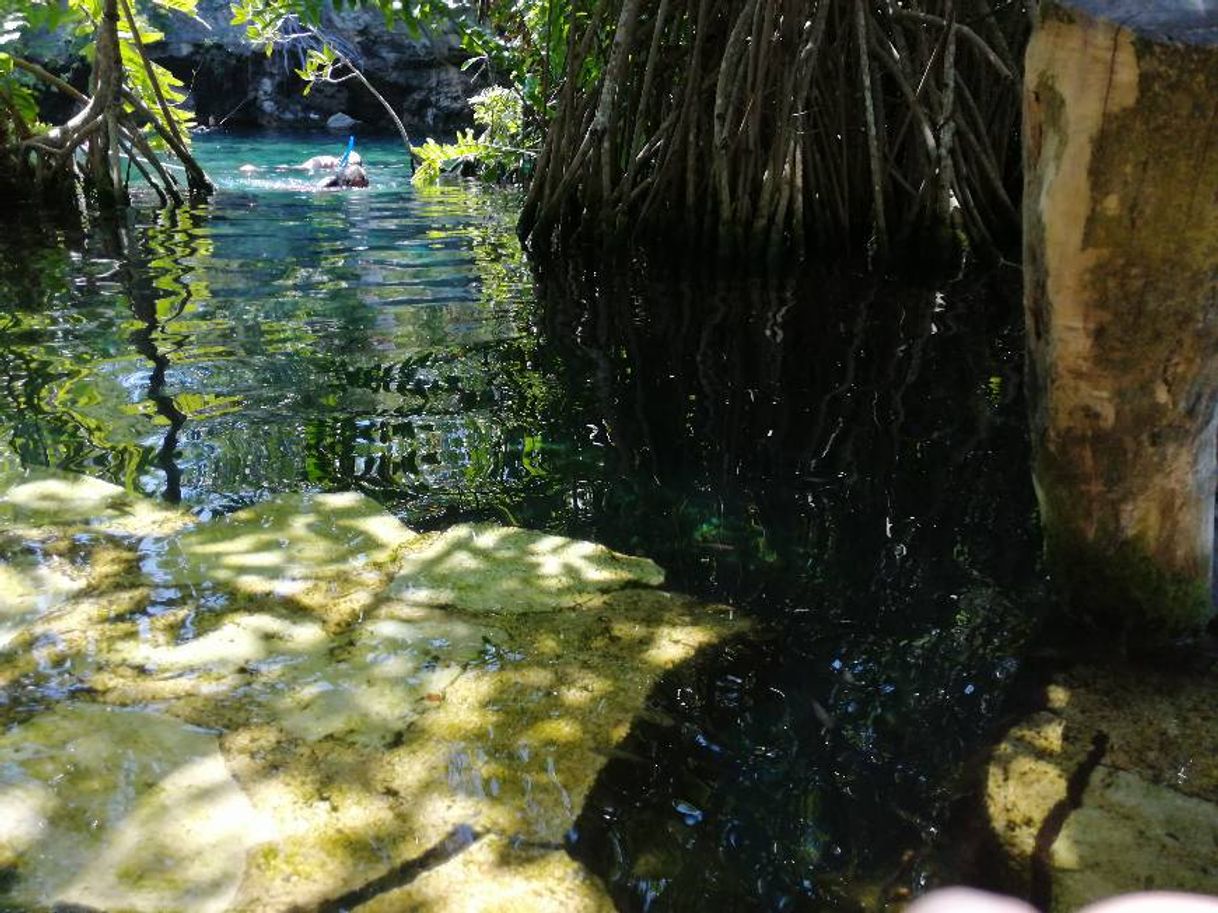 Place Cenote Cristalino