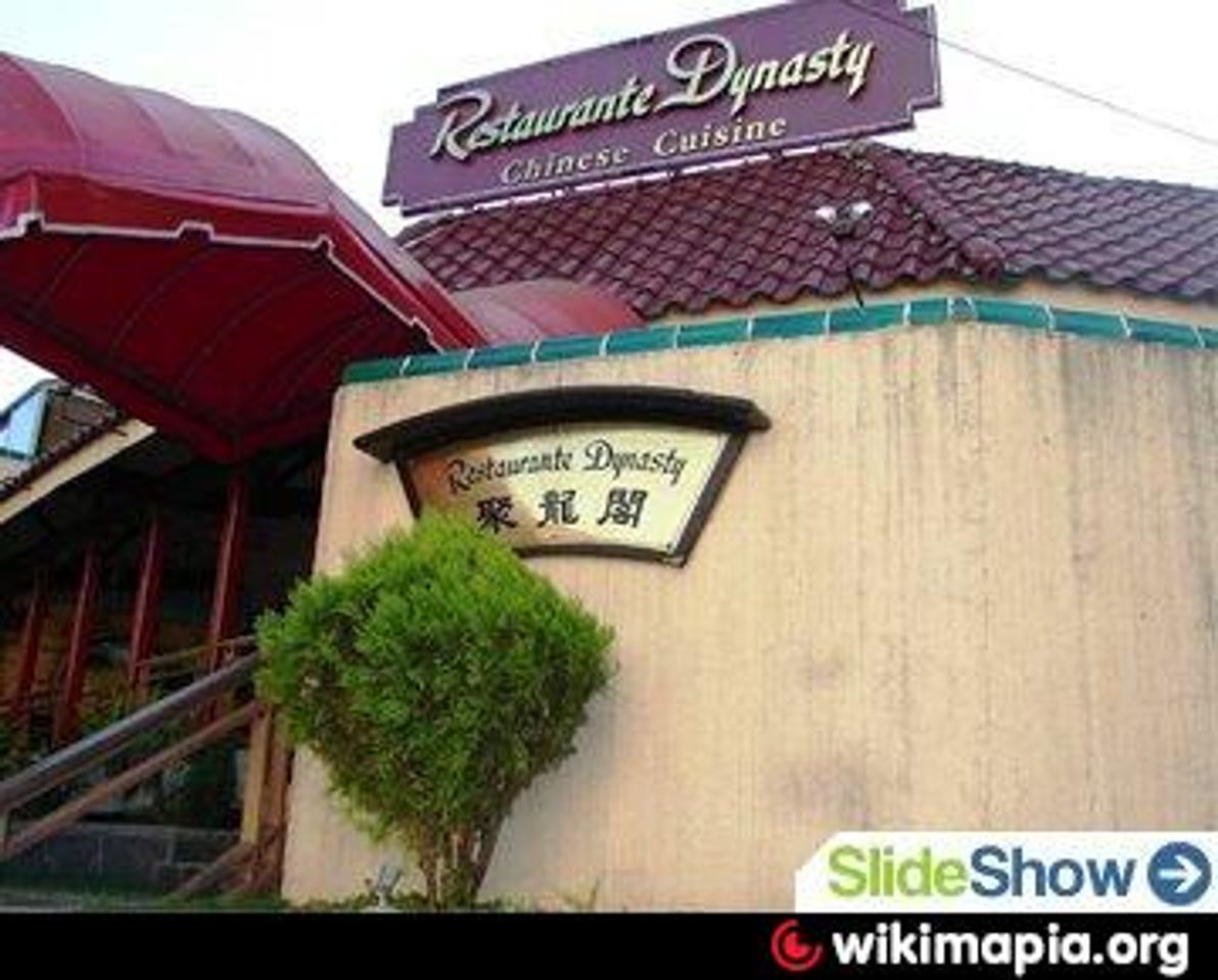 Restaurantes Restaurante Dynasty