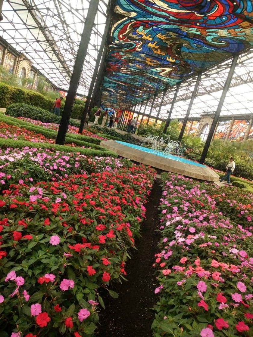 Lugar Cosmovitral Jardín botánico Toluca