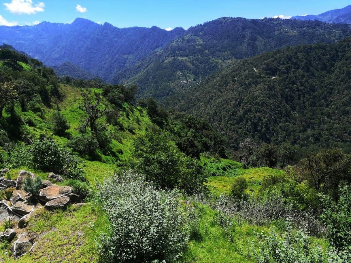 Lugar Zacatlan de las manzanas