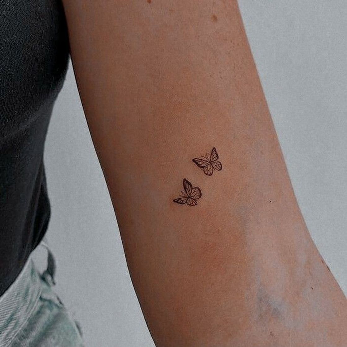 Social Borboleta 🦋🦋✨
