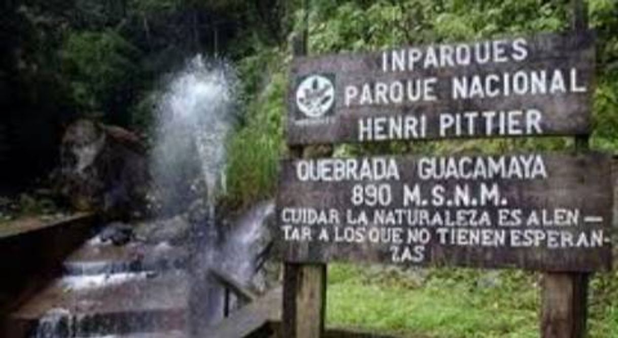 Place Parque Nacional Henri Pittier