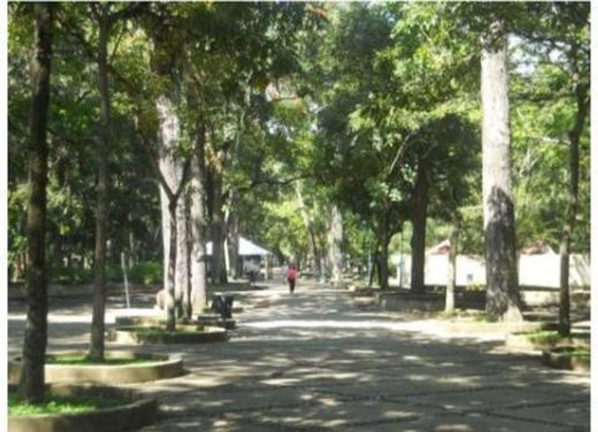 Place Parque Los Caobos