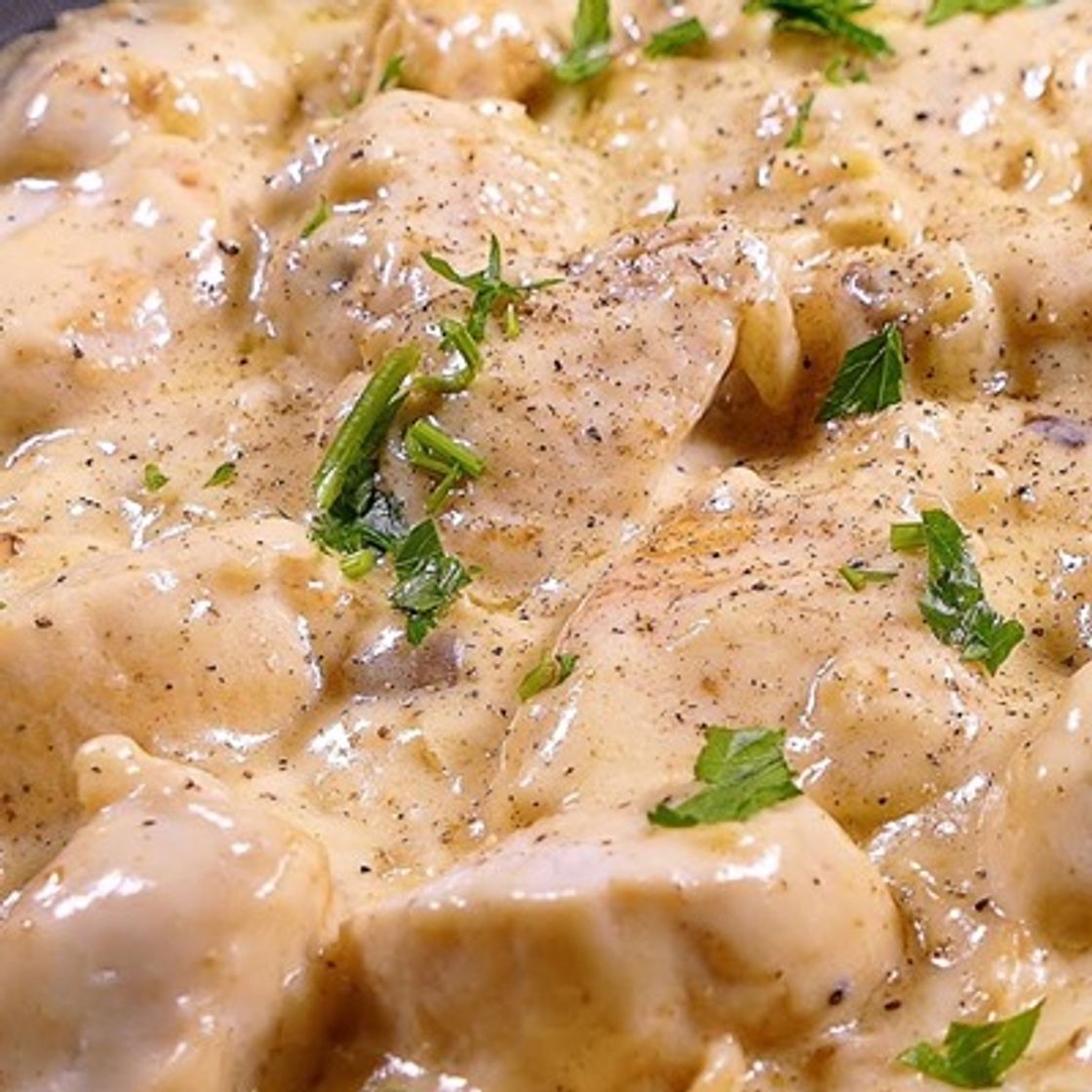 Social https://youtu.be/qnW3h49sFN4 - El Hambre Feroz Comida Al ...