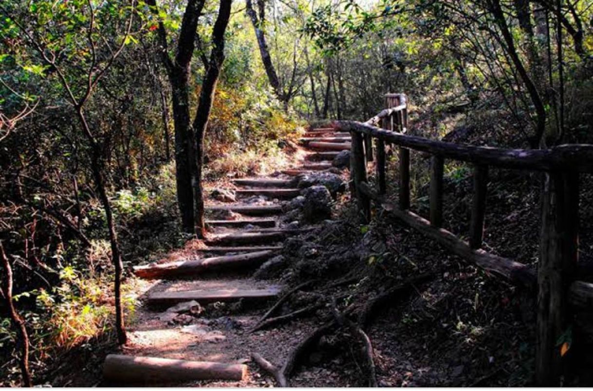Lugar Chipinque Ecological Park
