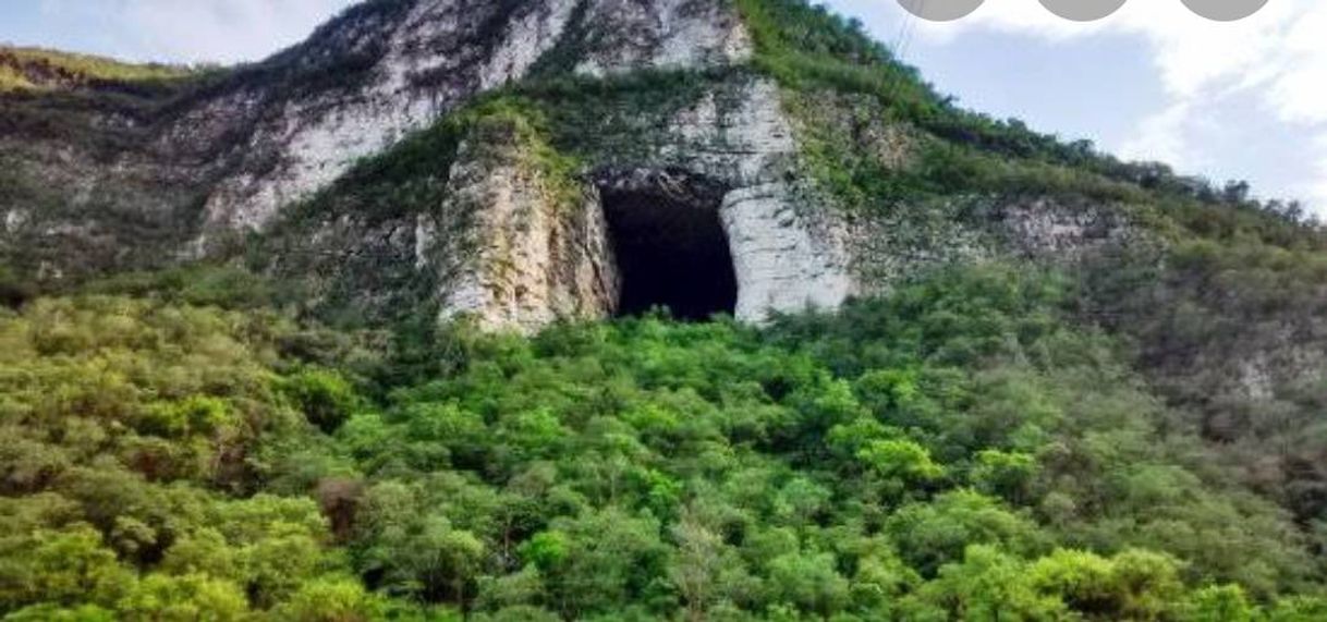 Place Cueva De Los Murcielagos