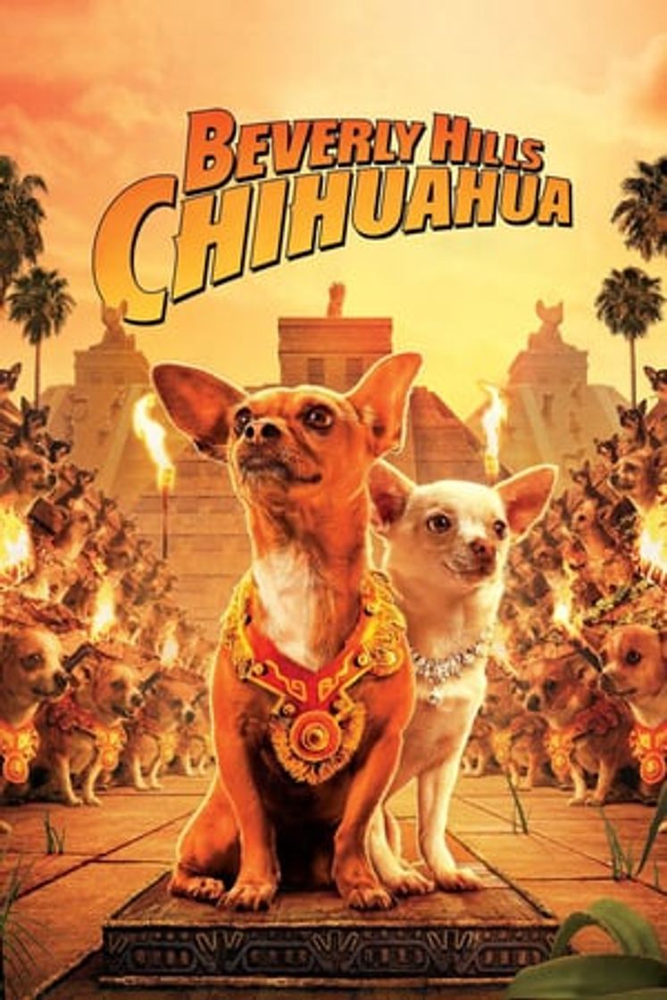 Película Un chihuahua en Beverly Hills