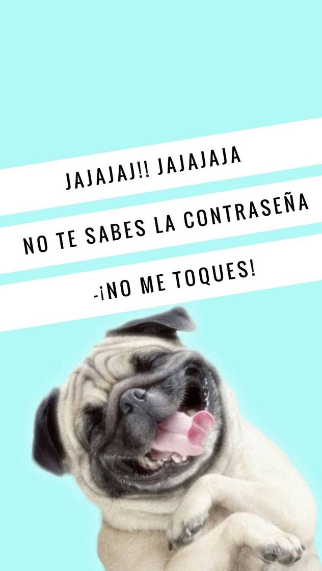 Moda Pug risas