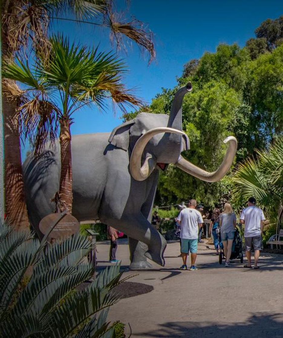 Place San Diego Zoo