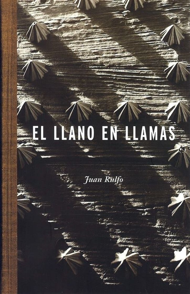 Libro El Llano en llamas