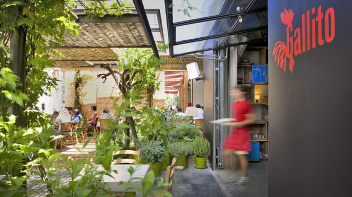 El Gallito Restaurante