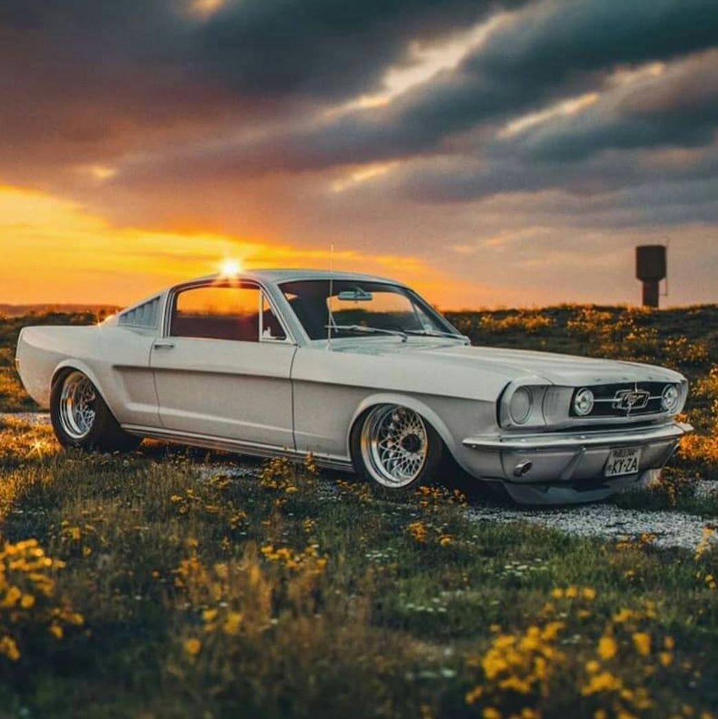 Moda Mustang Ford 💯