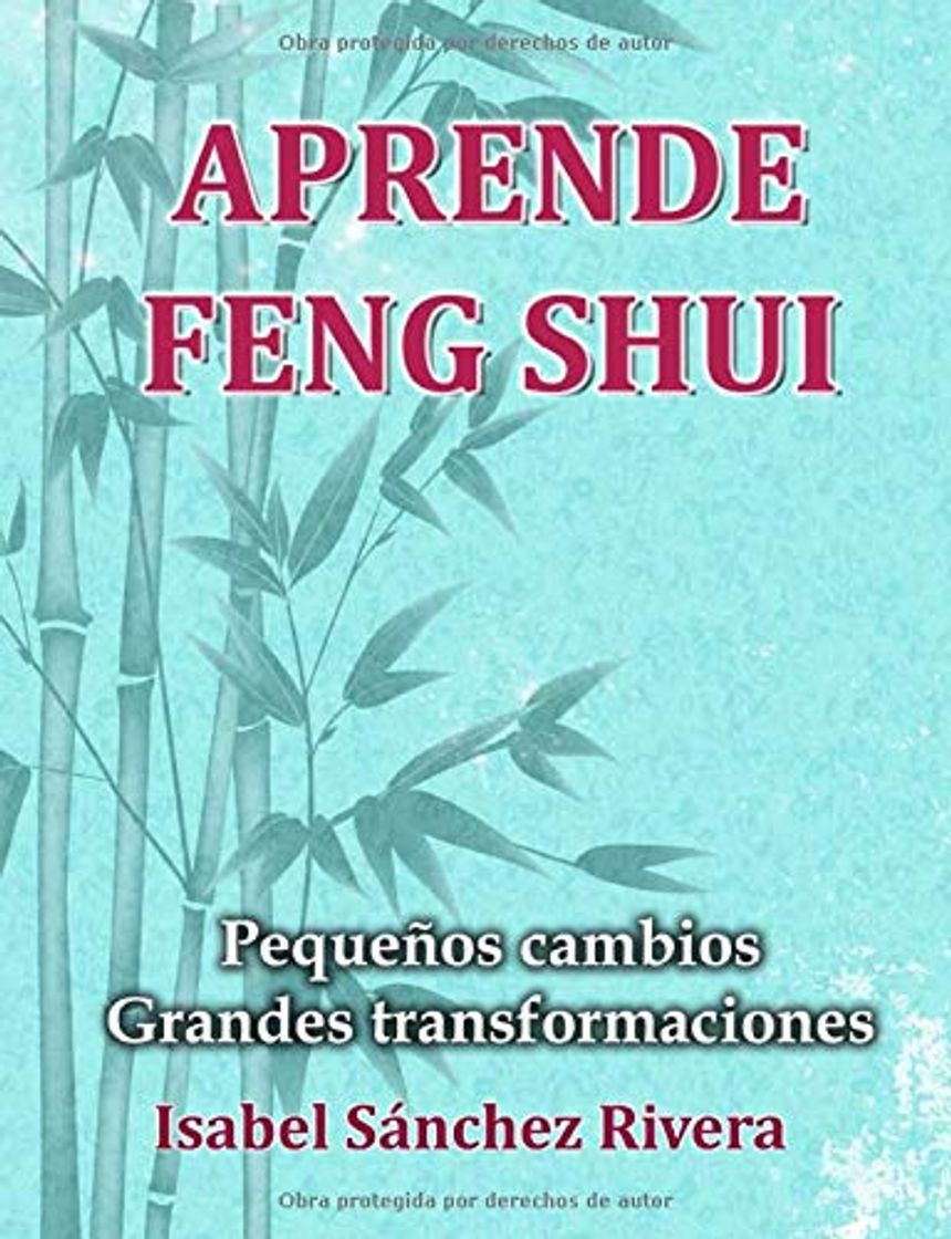 Libro Aprende Feng Shui