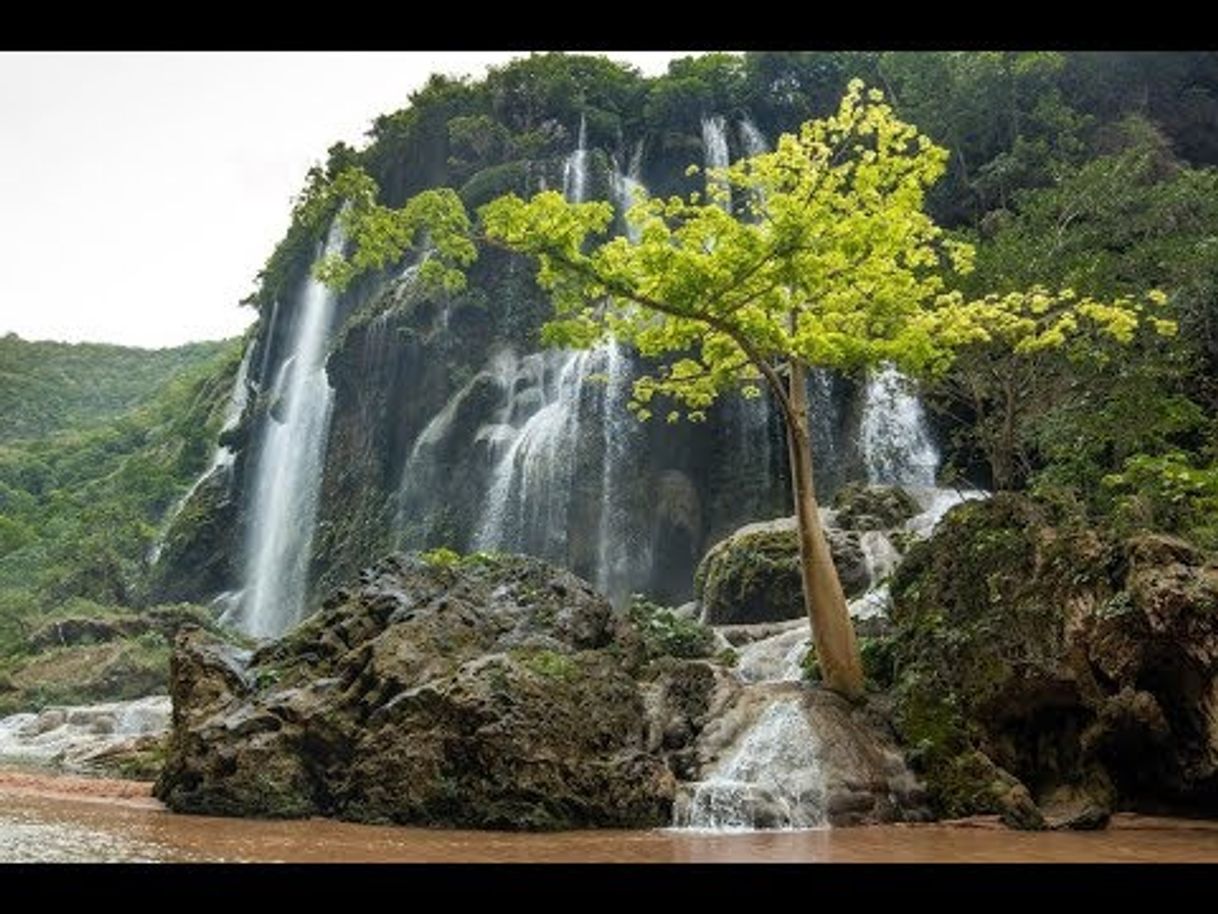 Moda Cascada el aguacero