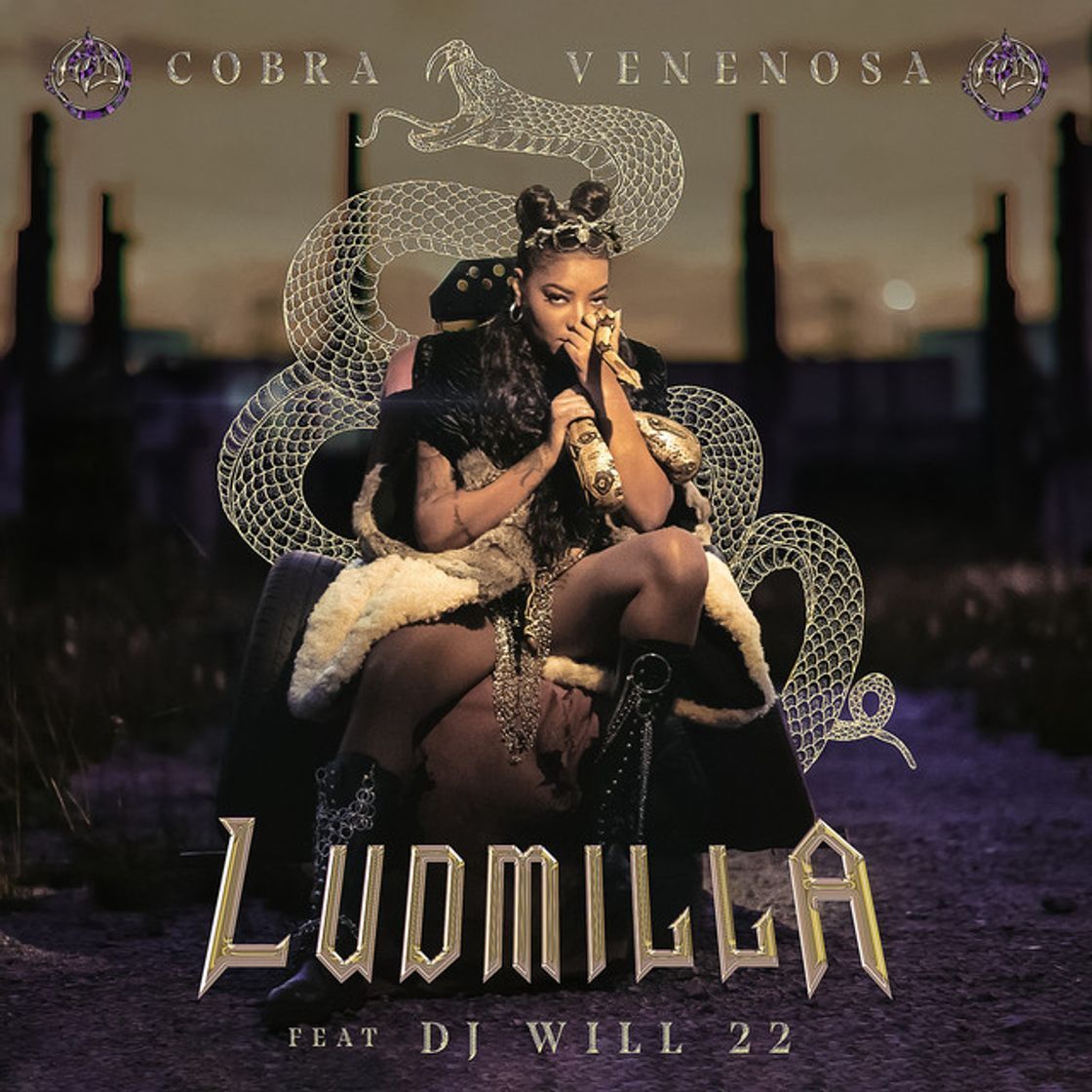 Music Cobra Venenosa (feat. DJ Will22)