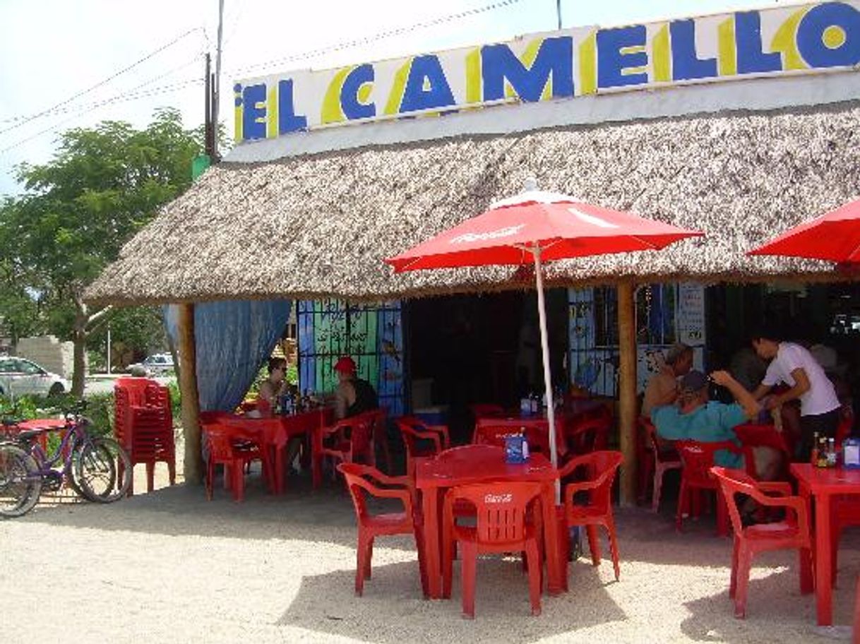 Restaurantes El Camello Jr.