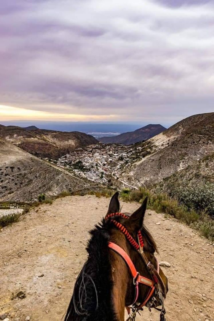 Lugar Real de Catorce