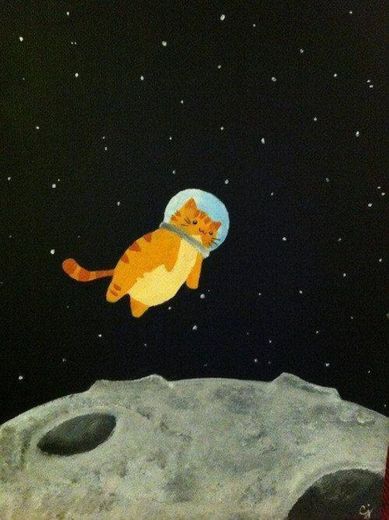 Gato astronauta