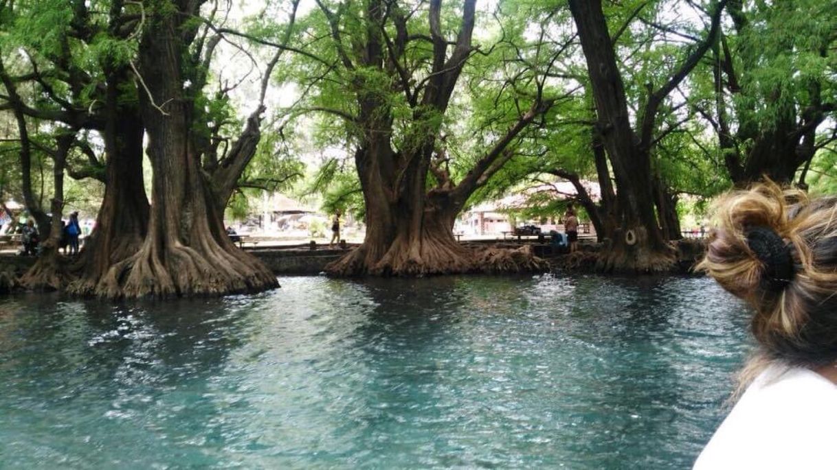 Place Lago de Camécuaro