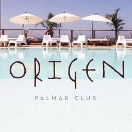 Origen Palmar Club