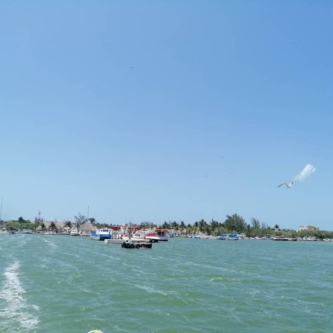 Lugar Isla de Holbox