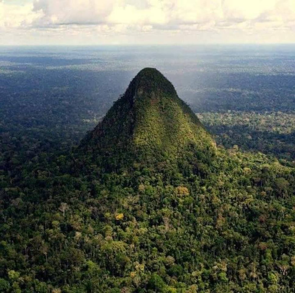 Lugar Parque Nacional Sierra Del Divisor