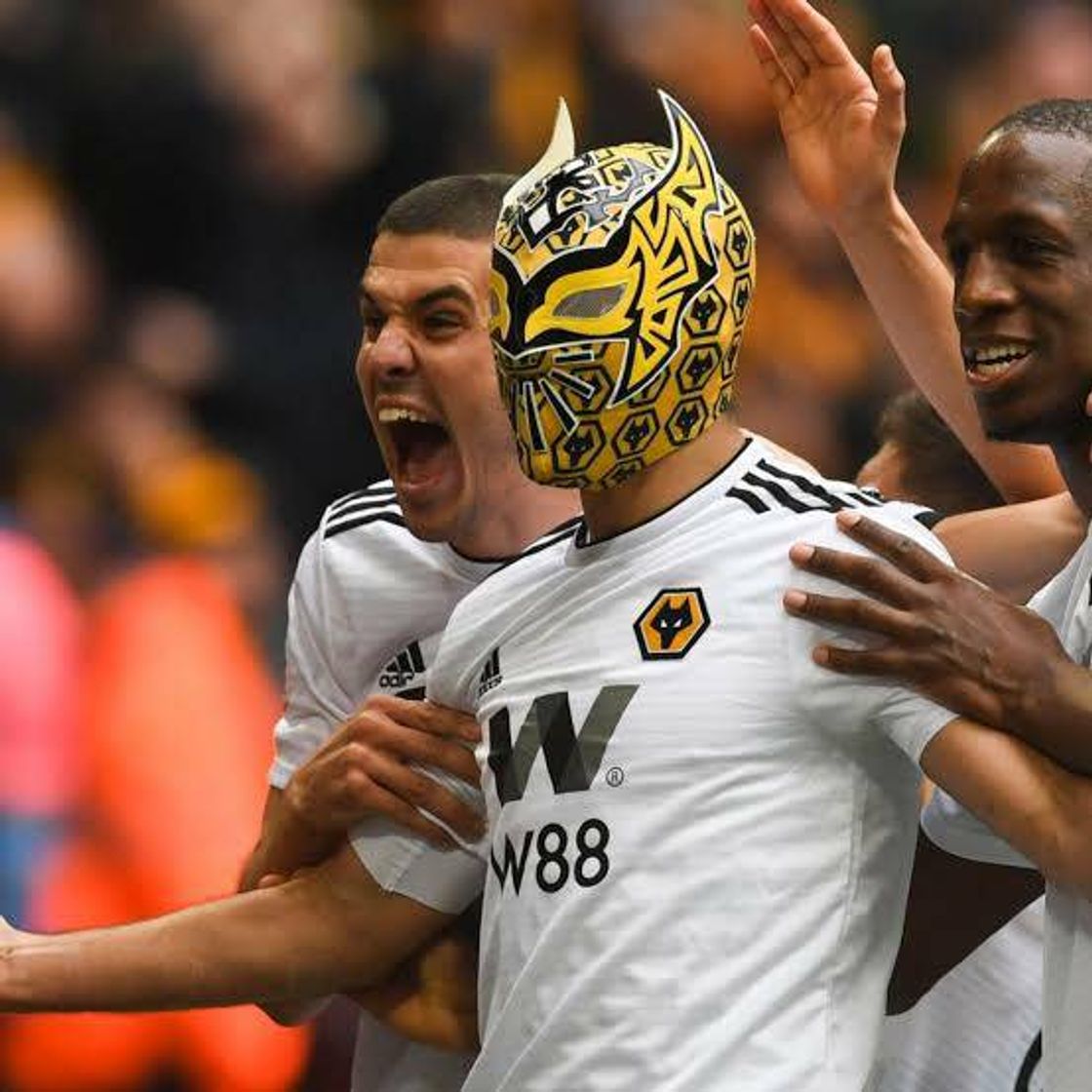 ⚽️Raul Jimenez • Todos los goles para Wolves en 18/19⚽️🏃‍♂️