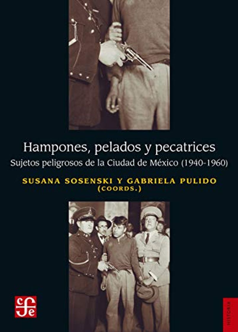 Book Hampones, pelados y pecatrices. Sujetos peligrosos de la Ciudad de México