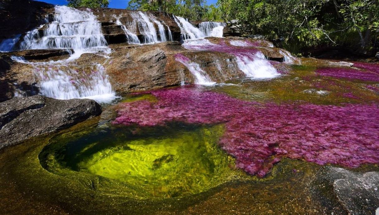 Lugar Caño Cristales