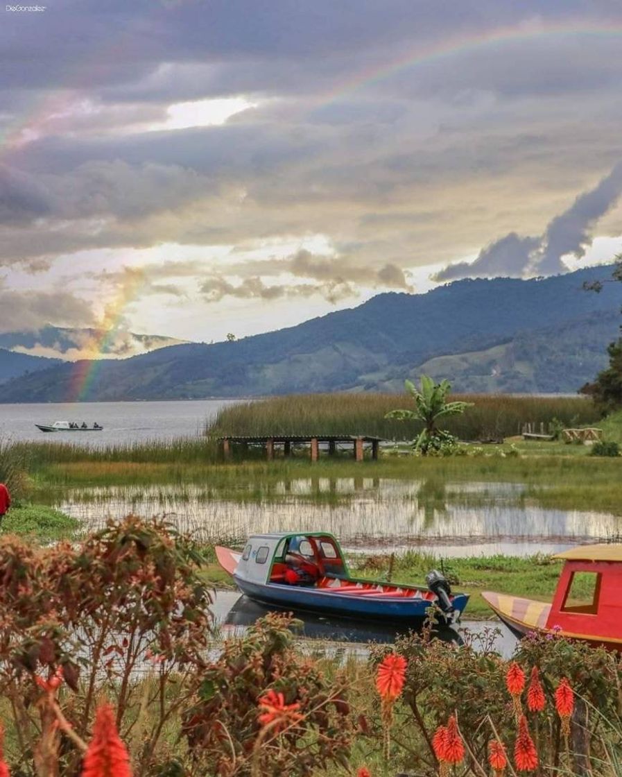 Lugar Laguna De La Cocha