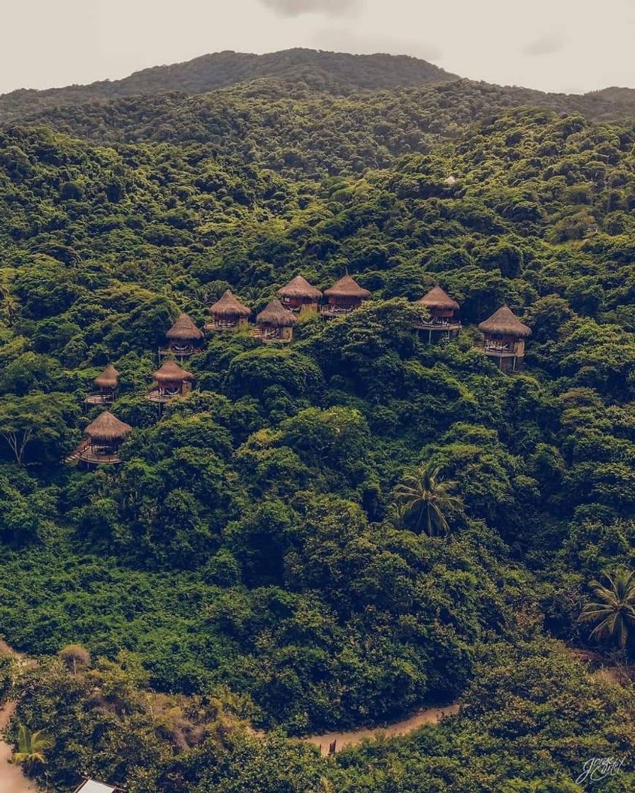 Lugar Parque Tayrona