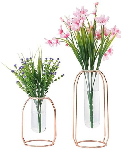 TONGXU 2PCS Florero de Vidrio de Tubo Ensayo Jarrón Decorativo Moderno Hidropónico