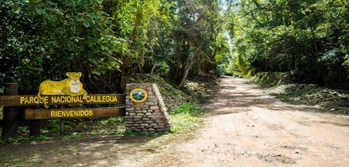 Lugar Parque Nacional Calilegua (Intendencia)