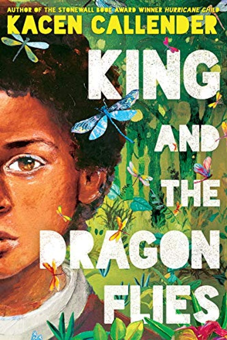 Book King and the Dragonflies