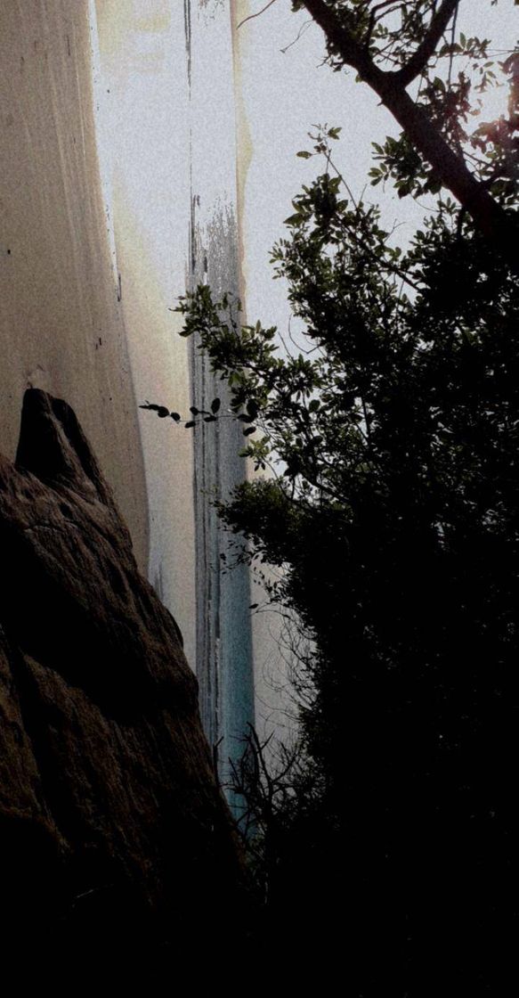 Restaurants Praia do Forte