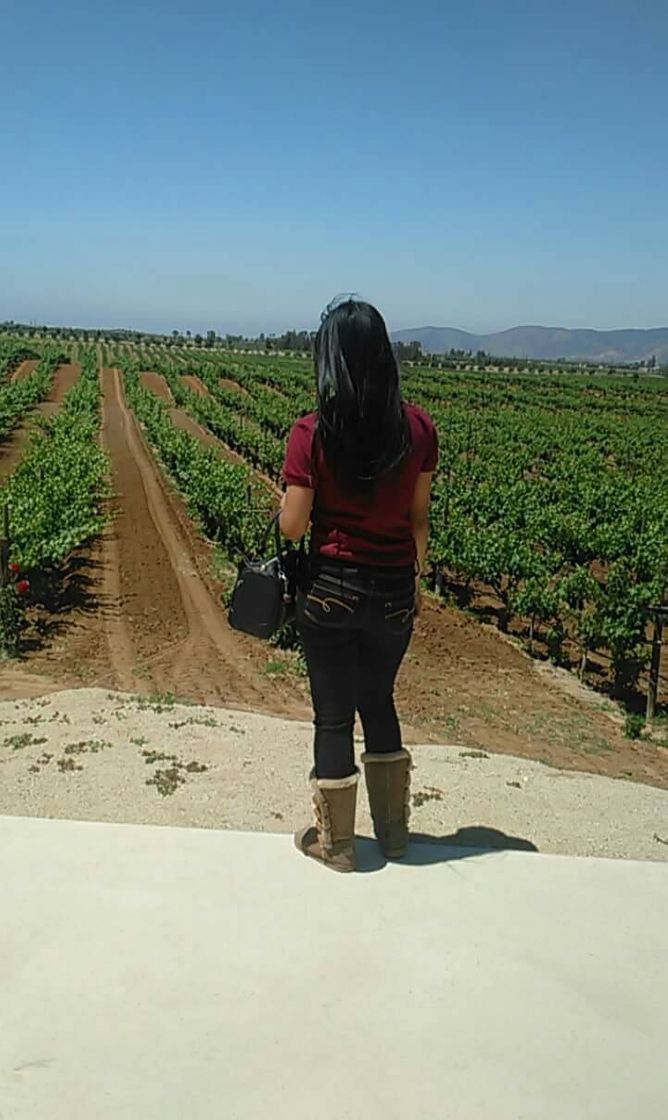 Place Valle de Guadalupe