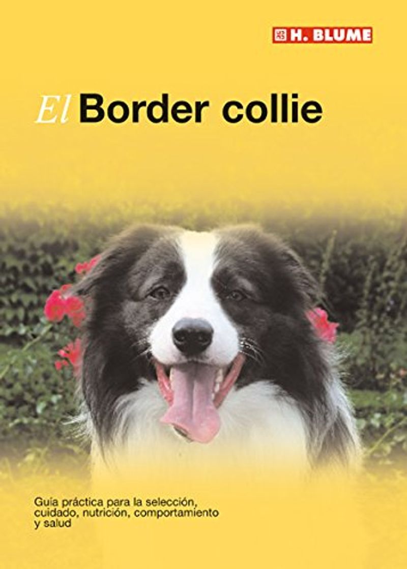 Libro El Border collie: 16 (Mascotas)