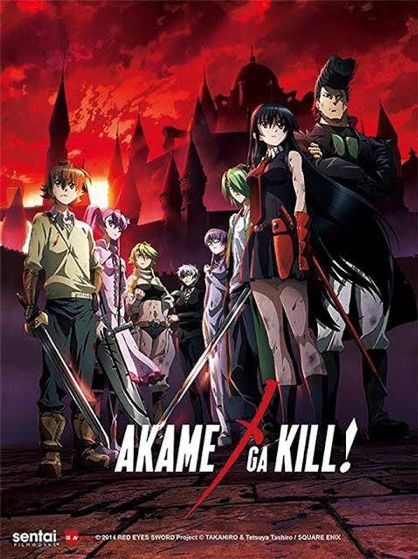 Moda Anime: Akame ga kill