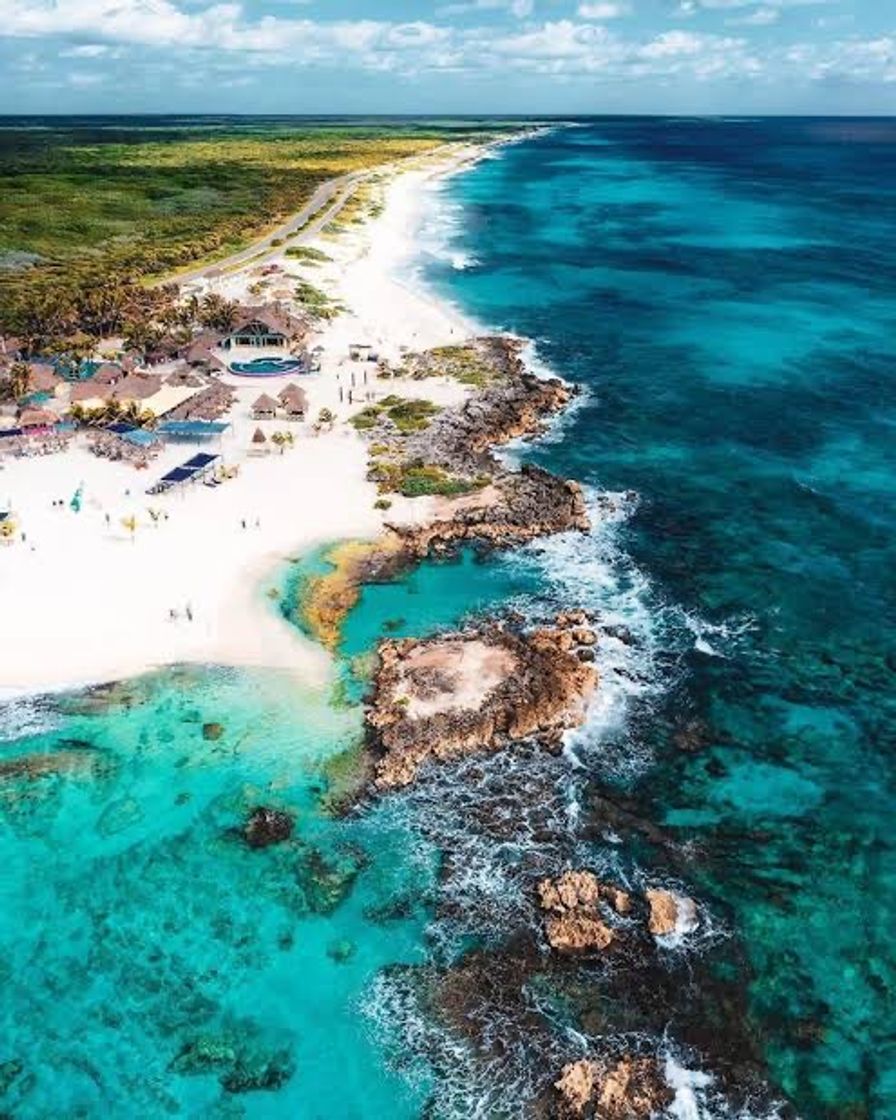 Moda Cozumel 🤩❤️