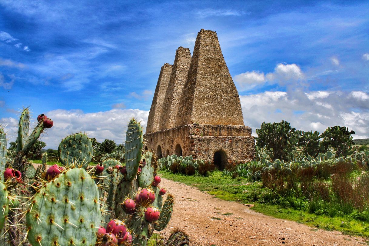 Place Mineral de Pozos