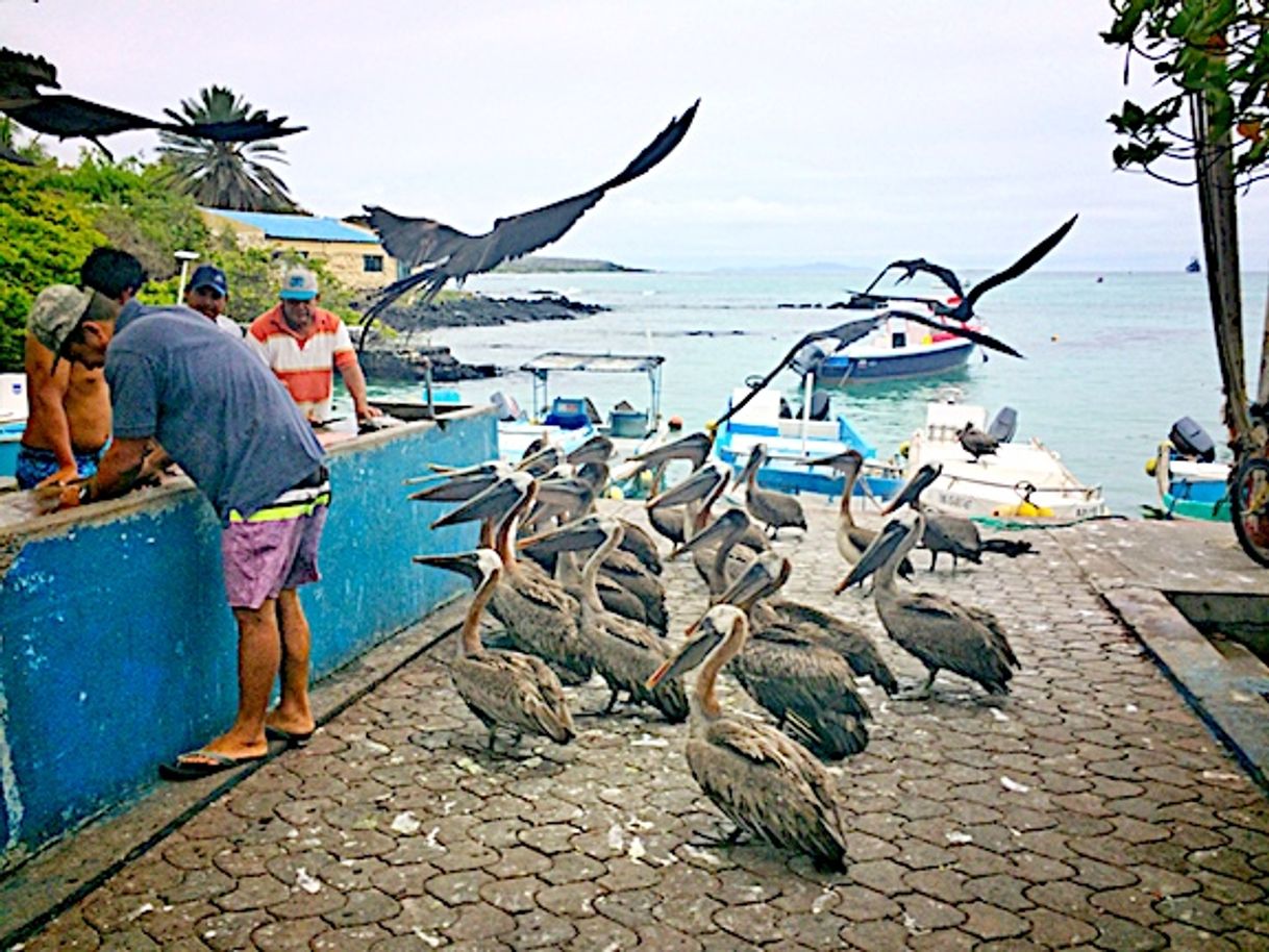 Lugar Galapagos Islands